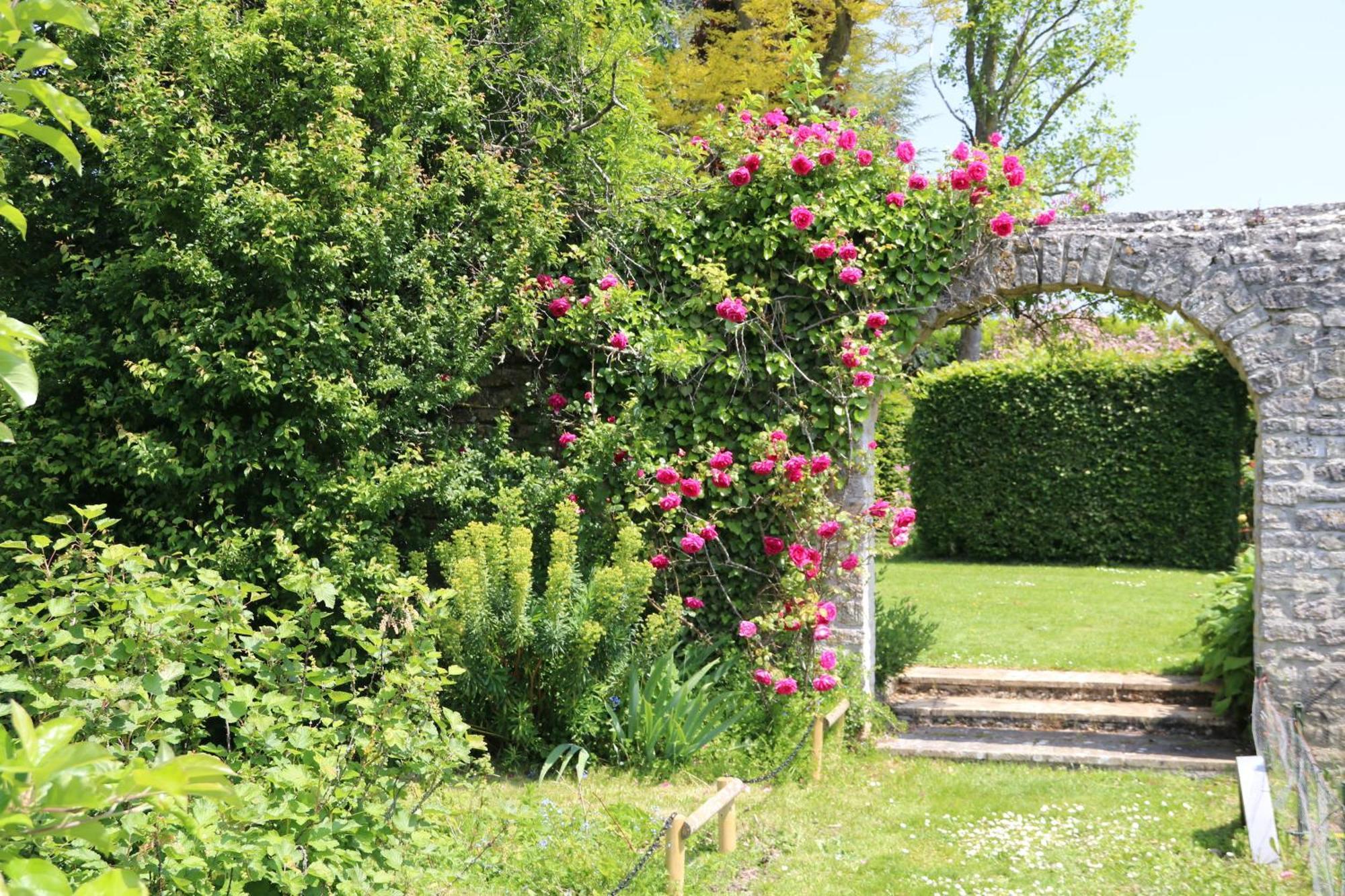 Charmant Logement Dans Un Ecrin De Verdure Le Manoir  Exteriér fotografie